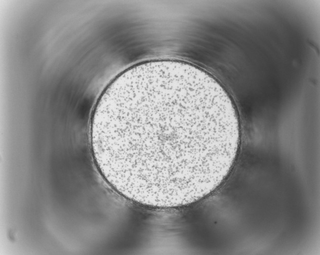 X0000103911388200810031202