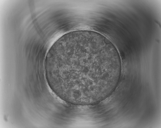 X0000103911389200810031202