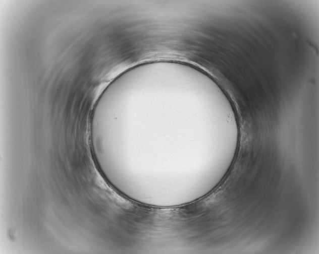 X0000103911390200810031202