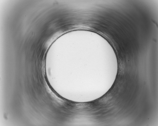 X0000103911391200810031202