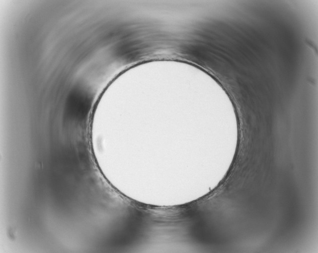 X0000103911392200810031202