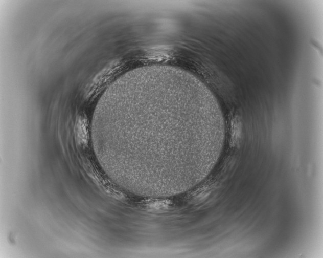 X0000103911394200810031202