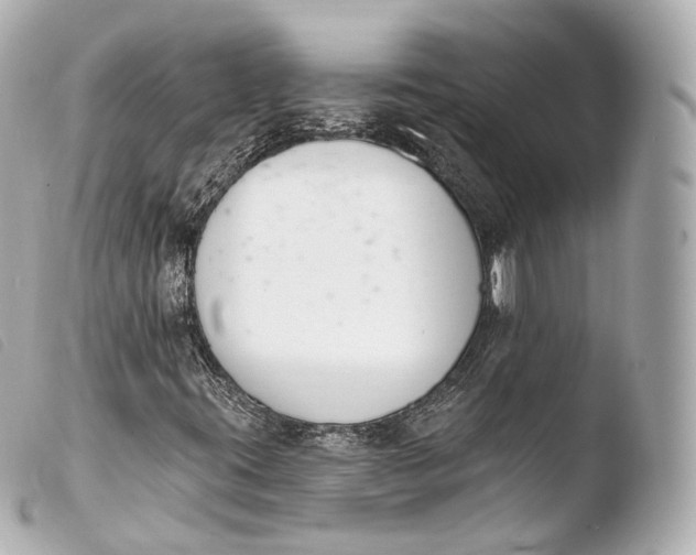 X0000103911395200810031202