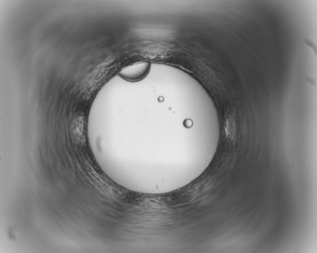 X0000103911396200810031202