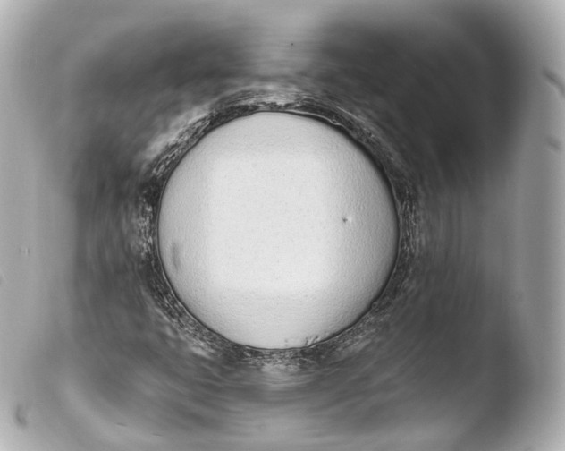X0000103911399200810031202