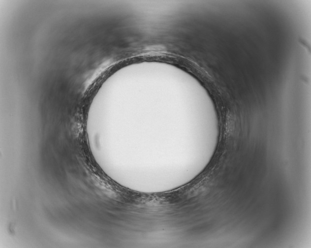 X0000103911400200810031202