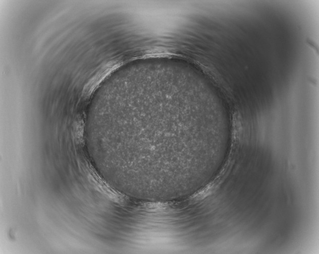 X0000103911401200810031202