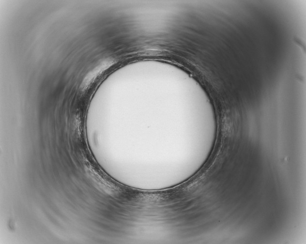 X0000103911402200810031202