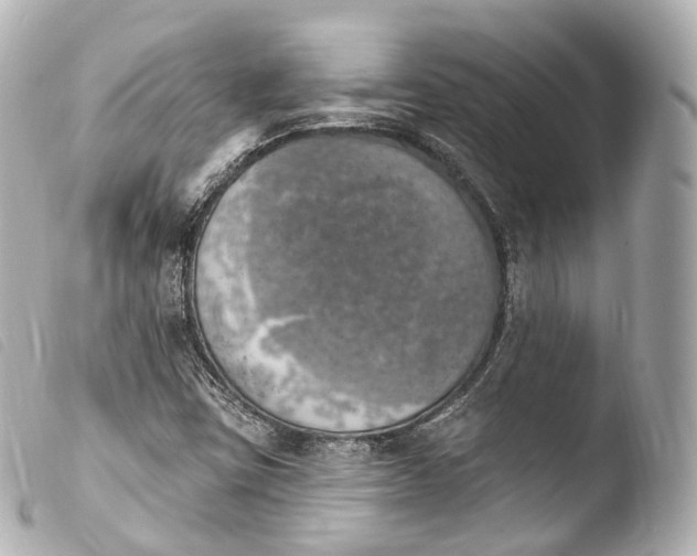 X0000103911403200810031202