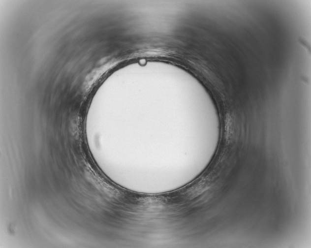 X0000103911404200810031202