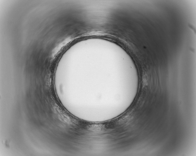X0000103911406200810031202
