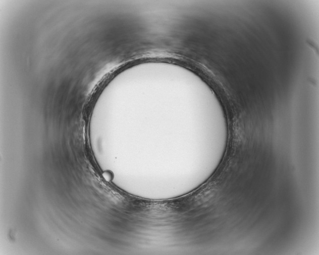 X0000103911408200810031202