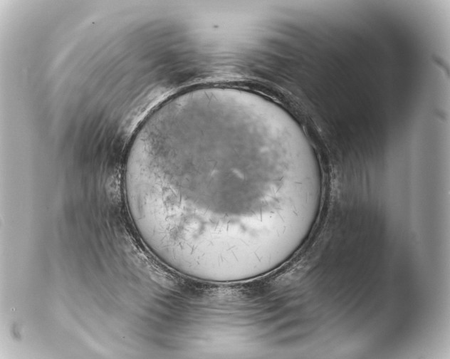 X0000103911409200810031202