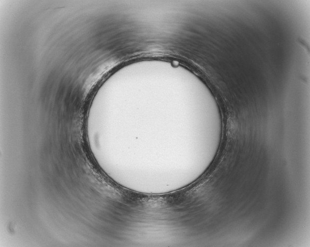 X0000103911410200810031202