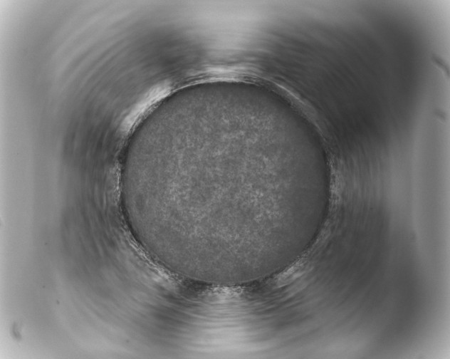 X0000103911411200810031202