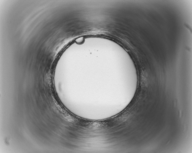 X0000103911412200810031202