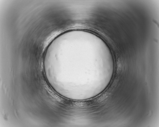 X0000103911413200810031202