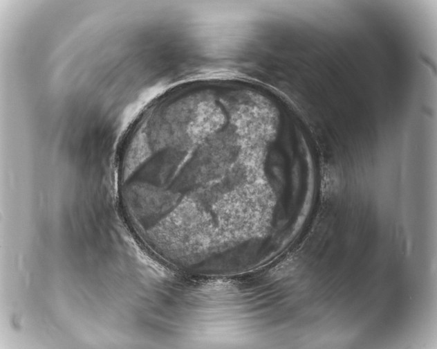 X0000103911414200810031202