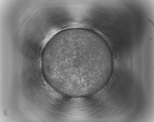 X0000103911415200810031202