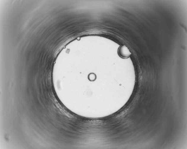 X0000103911417200810031202