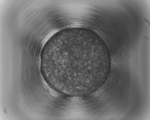 X0000103911418200810031202