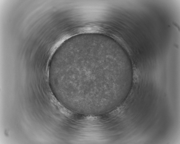 X0000103911419200810031202