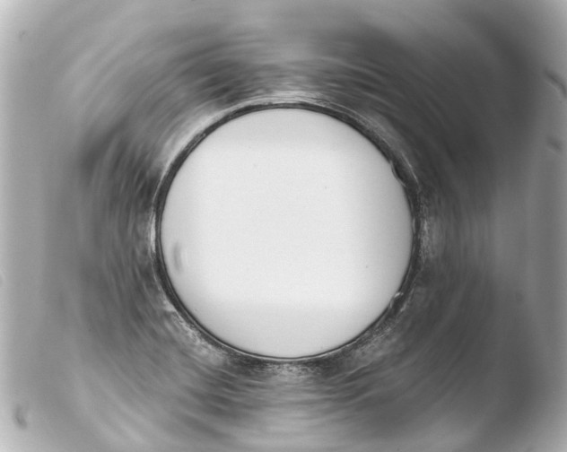 X0000103911420200810031202