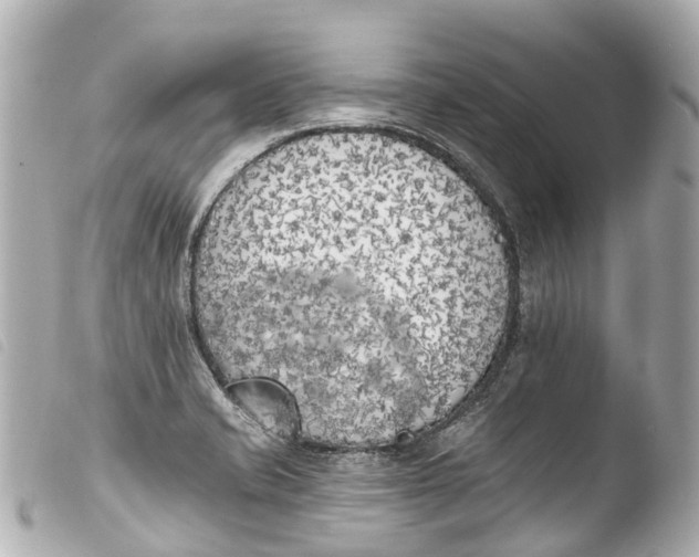 X0000103911421200810031202