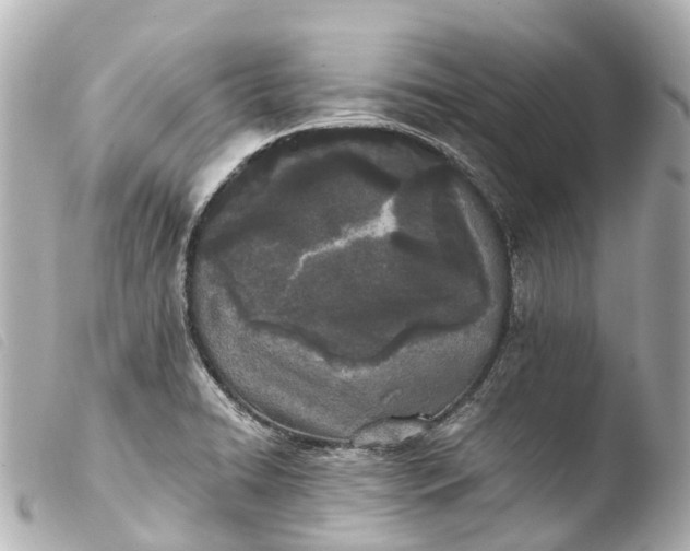 X0000103911422200810031202