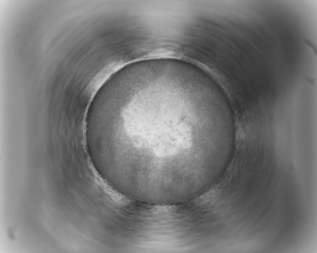 X0000103911423200810031202