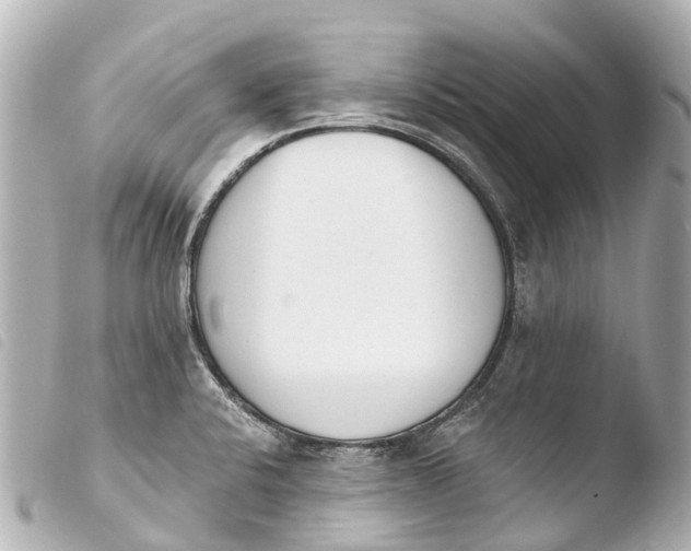 X0000103911424200810031202