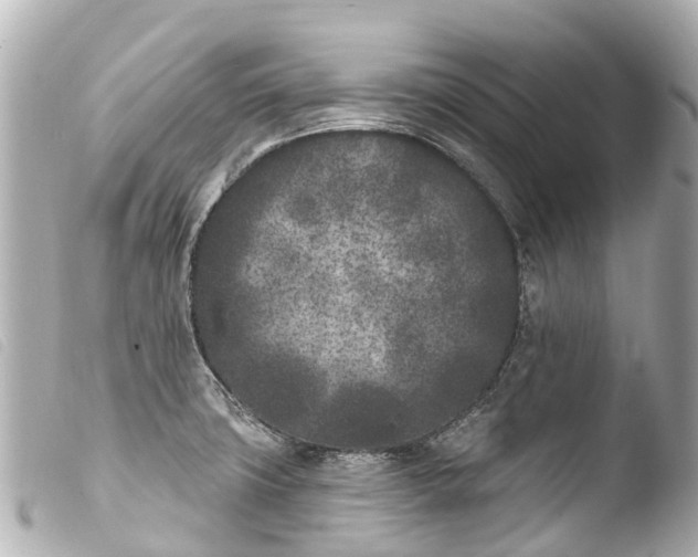 X0000103911427200810031202