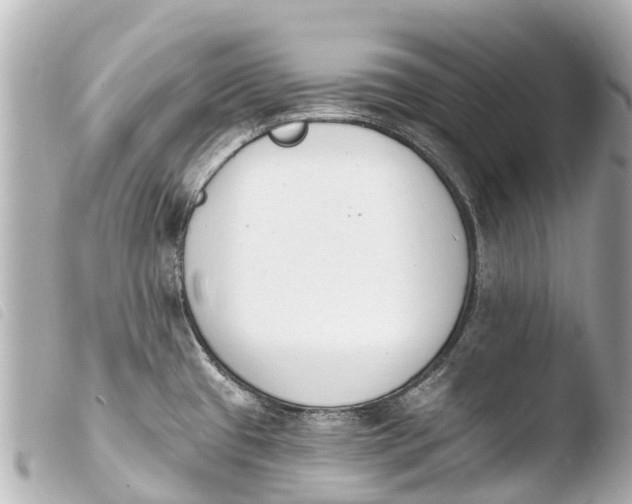 X0000103911433200810031202