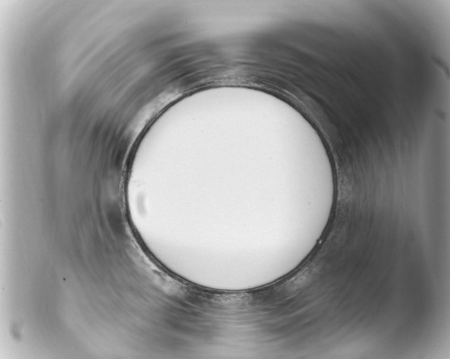 X0000103911434200810031202