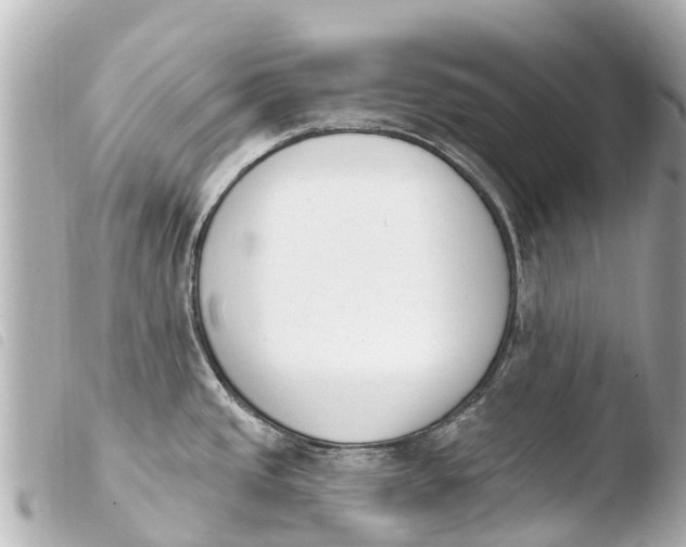 X0000103911437200810031202