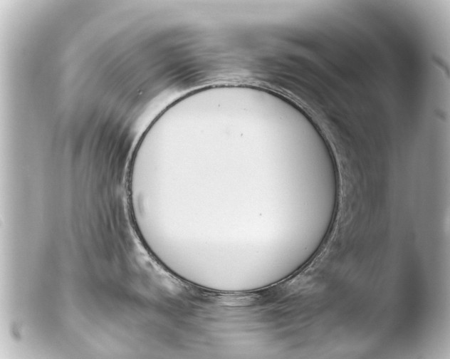 X0000103911440200810031202