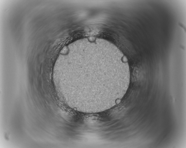 X0000103911441200810031202