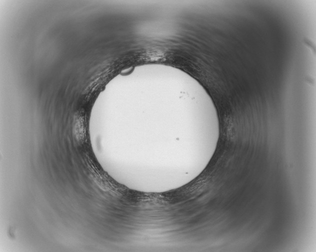 X0000103911442200810031202