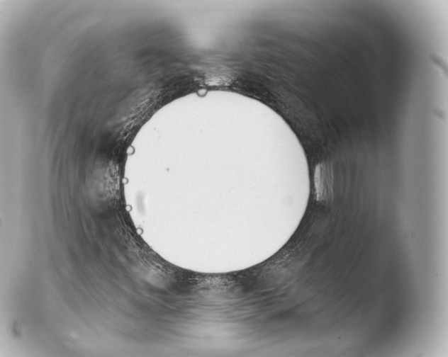 X0000103911443200810031202