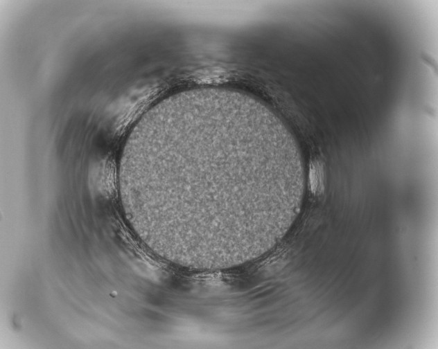 X0000103911444200810031202