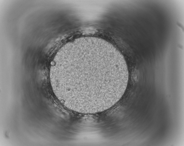 X0000103911445200810031202