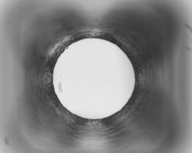 X0000103911447200810031202