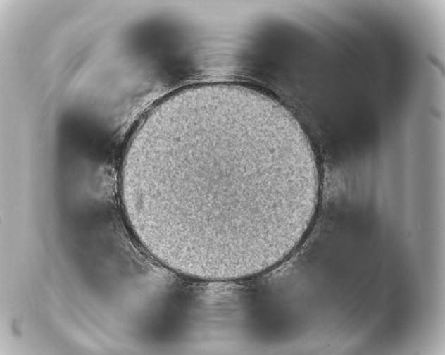 X0000103911449200810031202