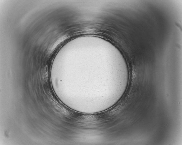 X0000103911450200810031201