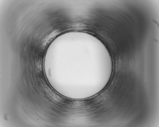 X0000103911451200810031201
