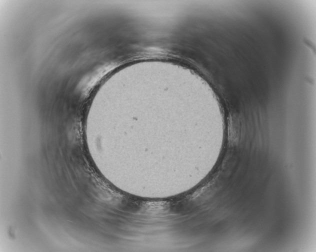 X0000103911453200810031201