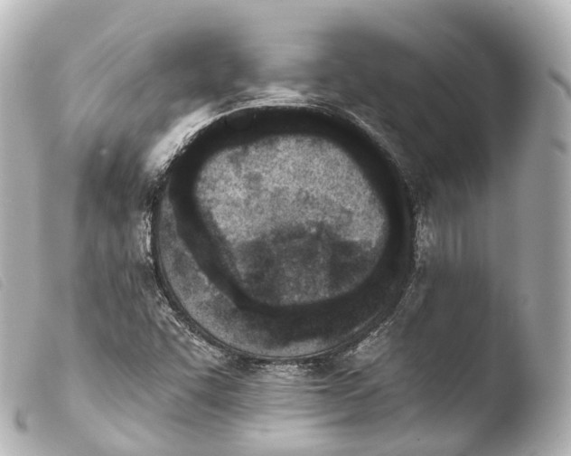 X0000103911455200810031201