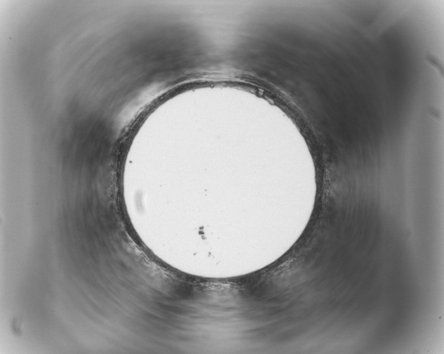 X0000103911456200810031201