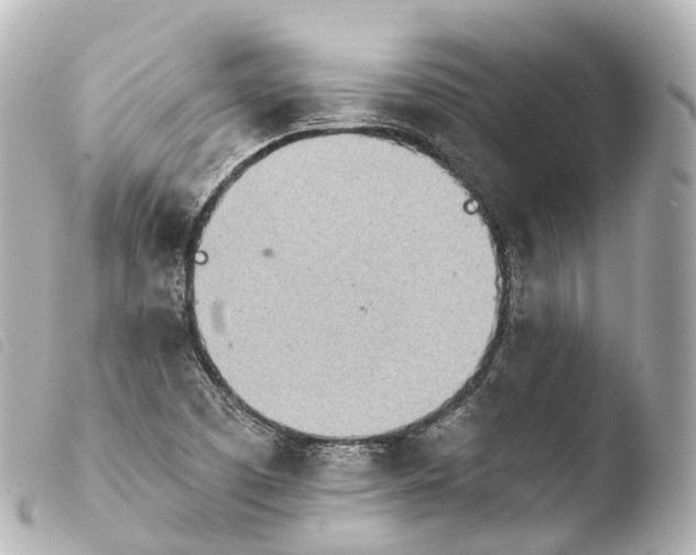X0000103911457200810031201