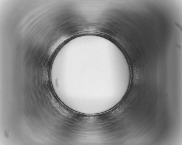 X0000103911458200810031201